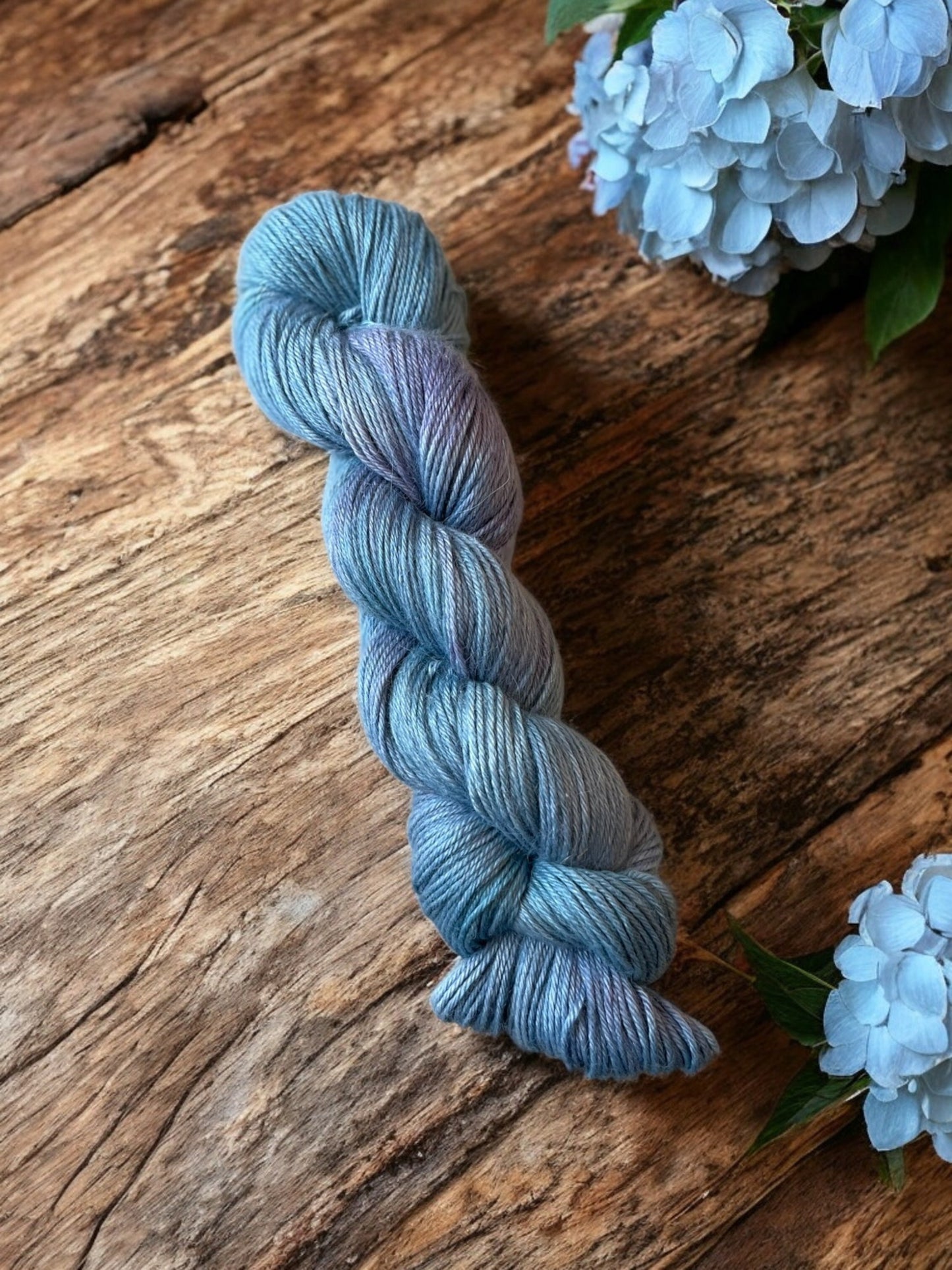 Hydrangea