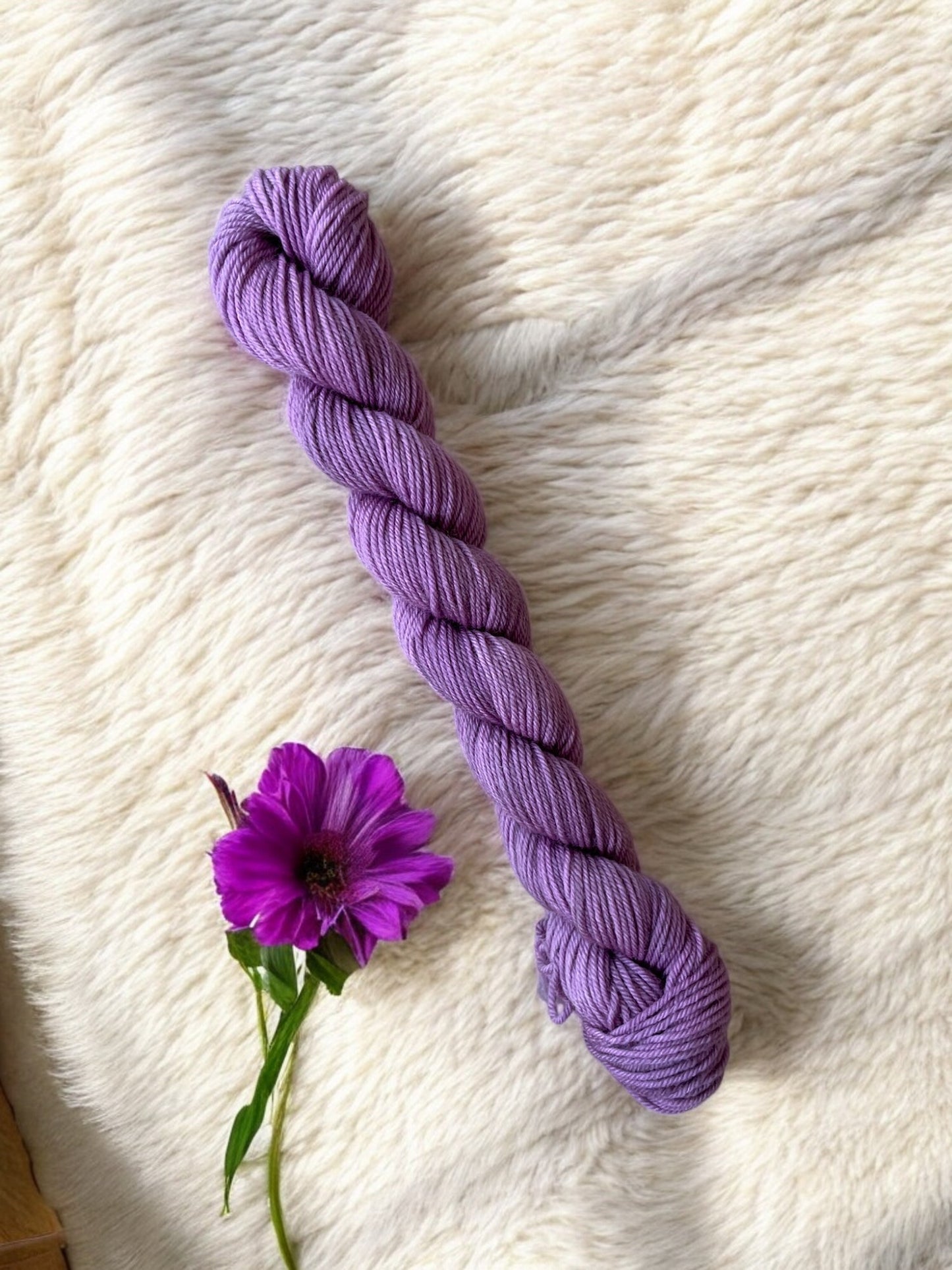 Plum Twist Mini