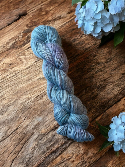 Hydrangea