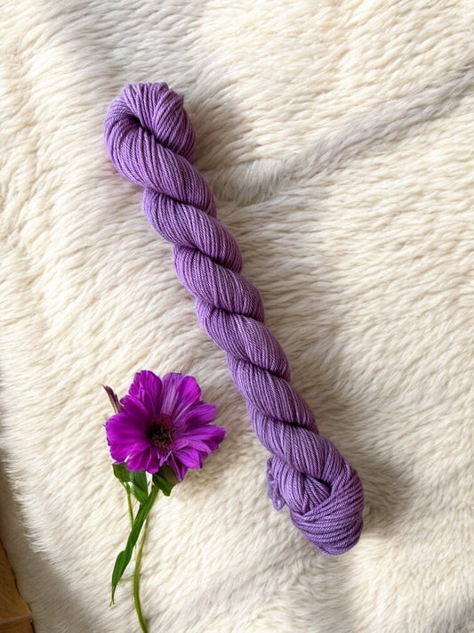 Plum Twist Mini